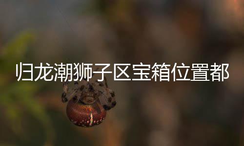 宝箱哪里归龙 归都在箱位享子区置分位置龙潮区宝潮狮狮子